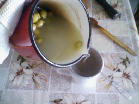 CIORBA DE VARA CU ZARZARE SI PRUNE