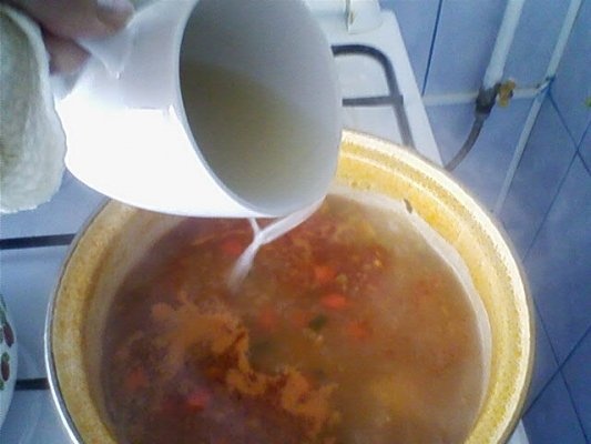 CIORBA DE VARA CU ZARZARE SI PRUNE