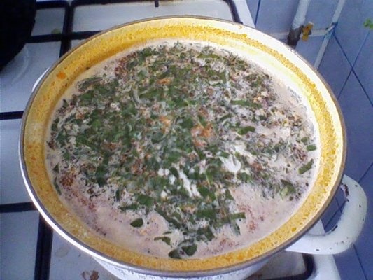 CIORBA DE VARA CU ZARZARE SI PRUNE