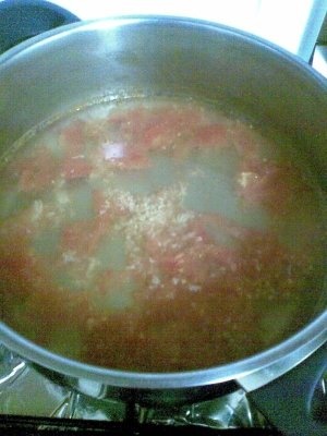 SARAMURA DIN PULPE DE PUI