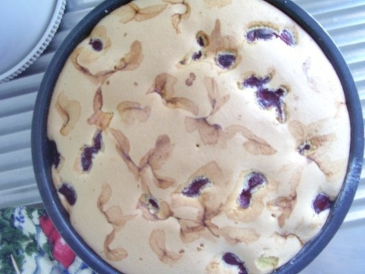 PRAJITURA CU OUA SI VISINE