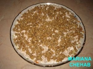 Salata cu gaina si nuci in straturi