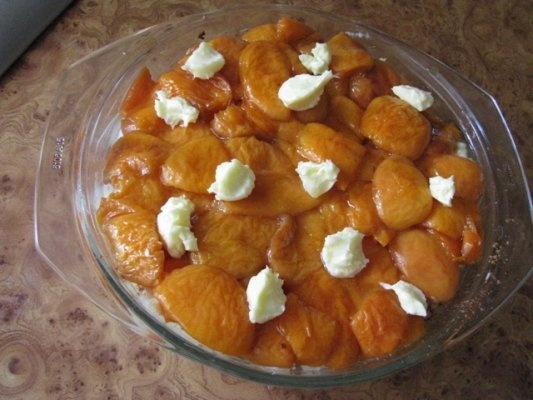 Prajitura din gris cu caise