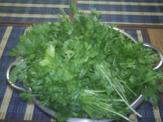 DIN CATEGORIA CONDIMENTE VERZI CONGELATE - PATRUNJEL VERDE