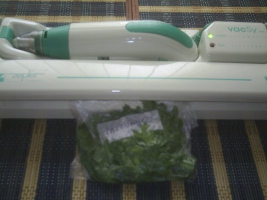 DIN CATEGORIA CONDIMENTE VERZI CONGELATE - PATRUNJEL VERDE