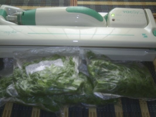 DIN CATEGORIA CONDIMENTE VERZI CONGELATE - PATRUNJEL VERDE