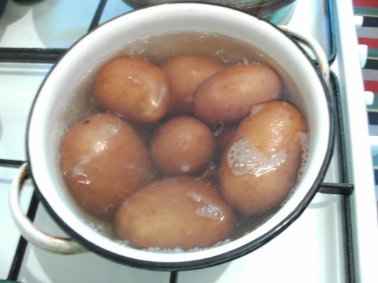 Salata de cartofi cu piept de pui in crusta de cocos