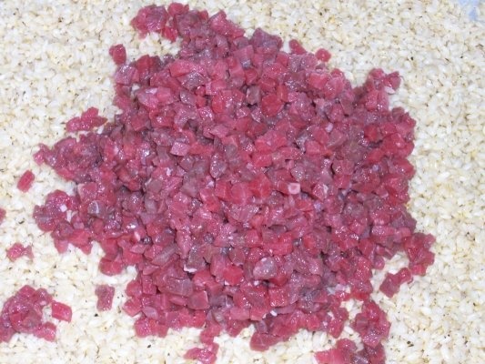 Iaqtin umplut(specific arab)