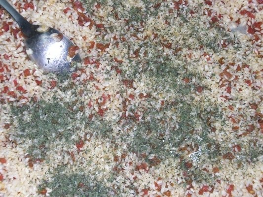 Iaqtin umplut(specific arab)