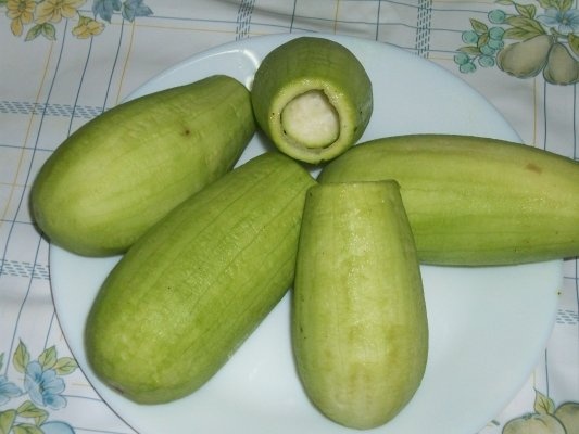 Iaqtin umplut(specific arab)