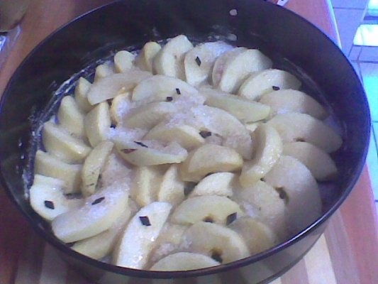 Tort de mere cu frisca si blat de orez.