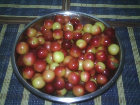 DIN CATEGORIA FRUCTE CONGELATE -CORCODUSE