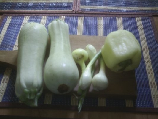 SUPA-CREMA DE DOVLECEI