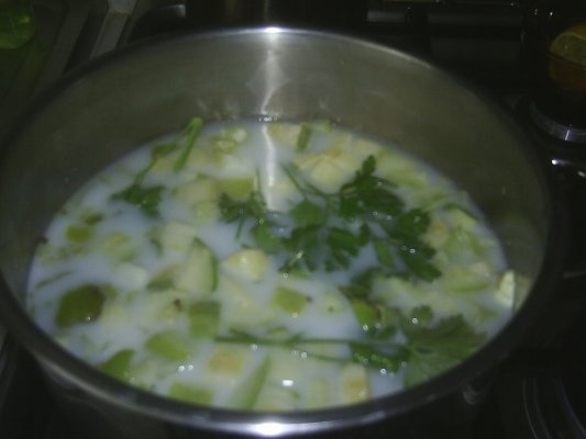 SUPA-CREMA DE DOVLECEI