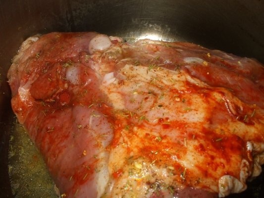 Friptura de curcan cu vin la tava