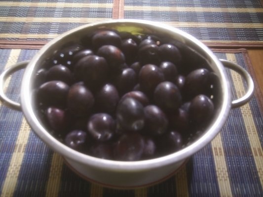 GEM DE PRUNE