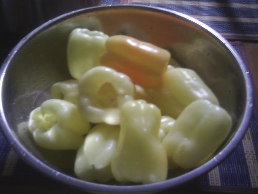 ARDEI UMPLUTI CU OREZ