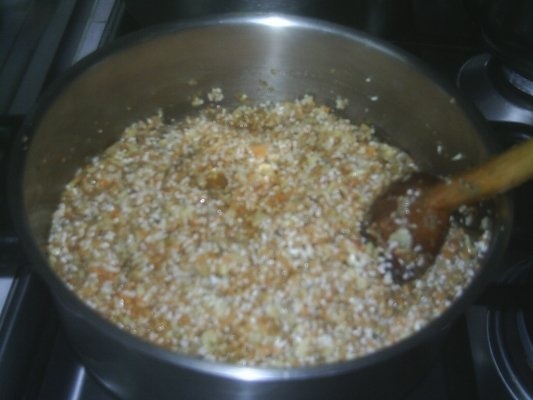 ARDEI UMPLUTI CU OREZ