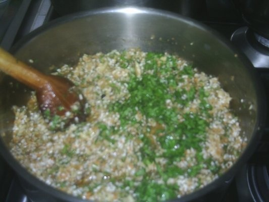 ARDEI UMPLUTI CU OREZ