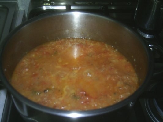 Tocanita de ceapa de post