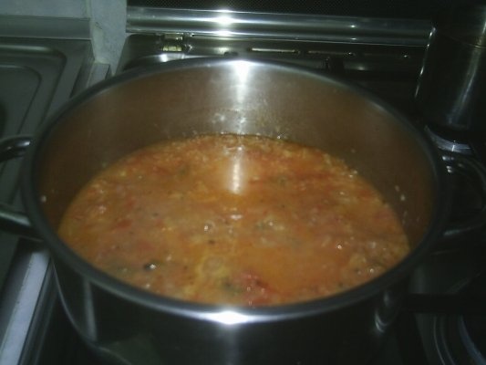 Tocanita de ceapa de post