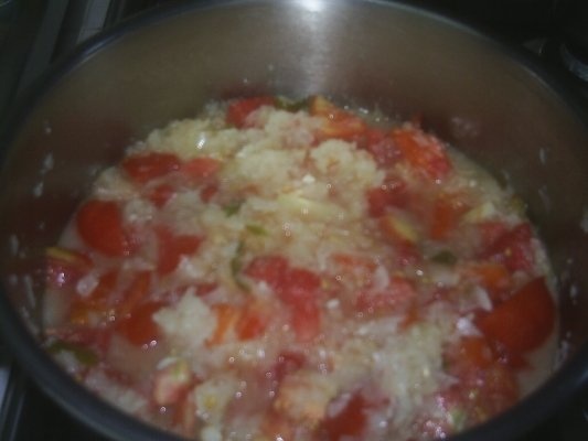 TOCANITA DE CEAPA CU CARNE