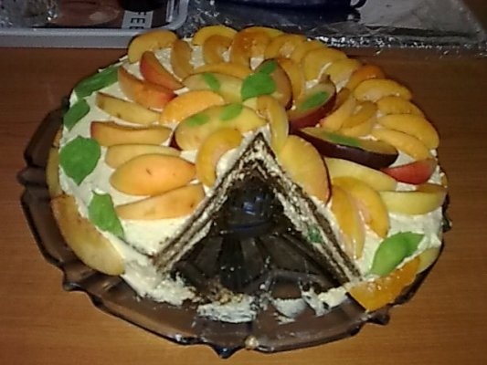 Tort cu crema de caise si fructe.