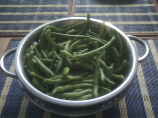 DIN CATEGORIA LEGUME CONGELATE DUPA FIERBERE - FASOLE VERDE PASTAI