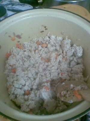 FUSILLI CU SOS DE CARNE CU ROSII