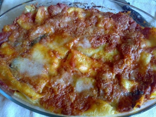 Cannelloni cu branza si sunca de praga