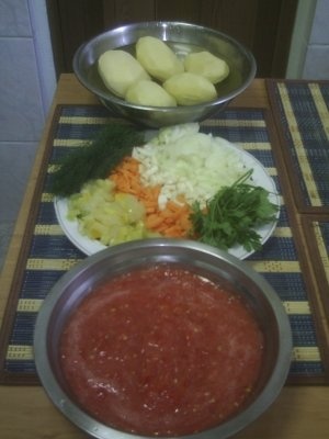 TOCANITA DE CARTOFI CU CARNE