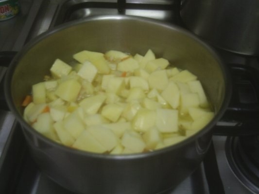 TOCANITA DE CARTOFI CU CARNE