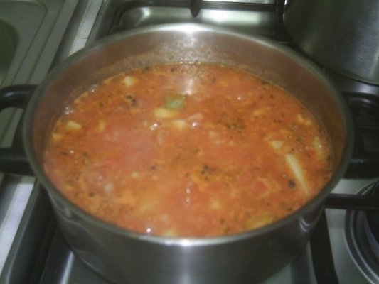 TOCANITA DE CARTOFI CU CARNE