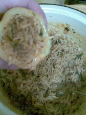 AREDI UMPLUTI CU OREZ