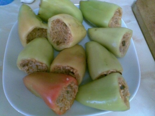 AREDI UMPLUTI CU OREZ