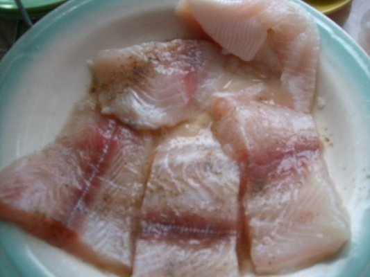 Pangasius cu vinete si sos de iaurt