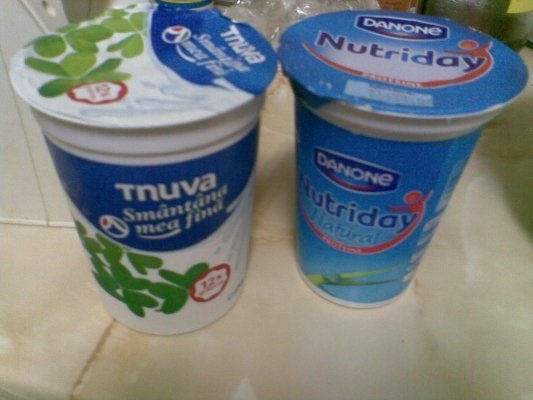 Tort cu afine de padure