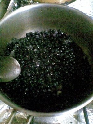 Tort cu afine de padure