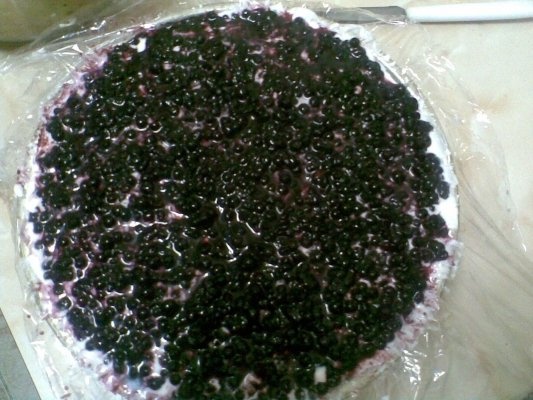 Tort cu afine de padure