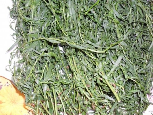 TARHON LA BORCAN, PT IARNA