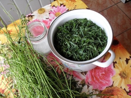 TARHON LA BORCAN, PT IARNA