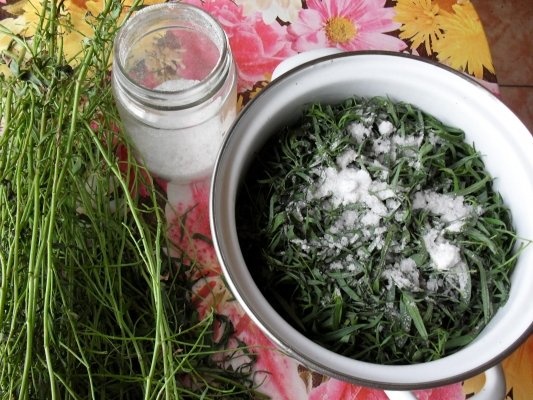 TARHON LA BORCAN, PT IARNA