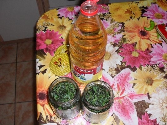 TARHON LA BORCAN, PT IARNA