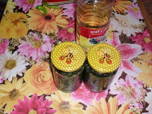 TARHON LA BORCAN, PT IARNA