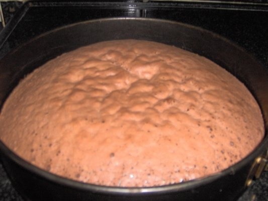 Tort padurea neagra -combinatia mea