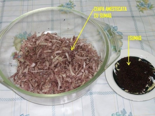 Saorma de pui(specific arab)