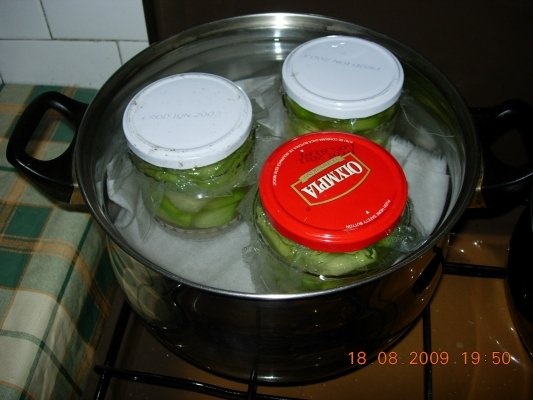 Compot de pepene galben