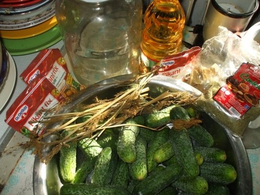 Castraveti cornichon in otet