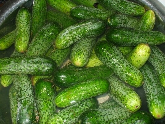 Castraveti cornichon in otet