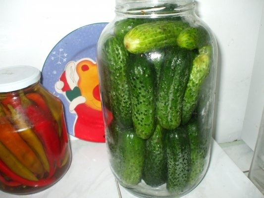 Castraveti cornichon in otet